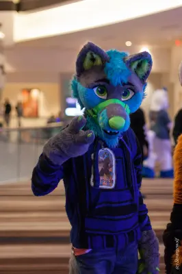 IMG_2008-lr19t.jpg of FWA/FWA2018/