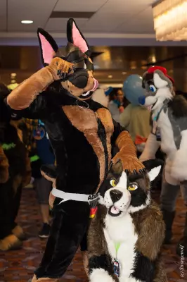 IMG_7279-lr19t.jpg of MFF/MFF2018/
