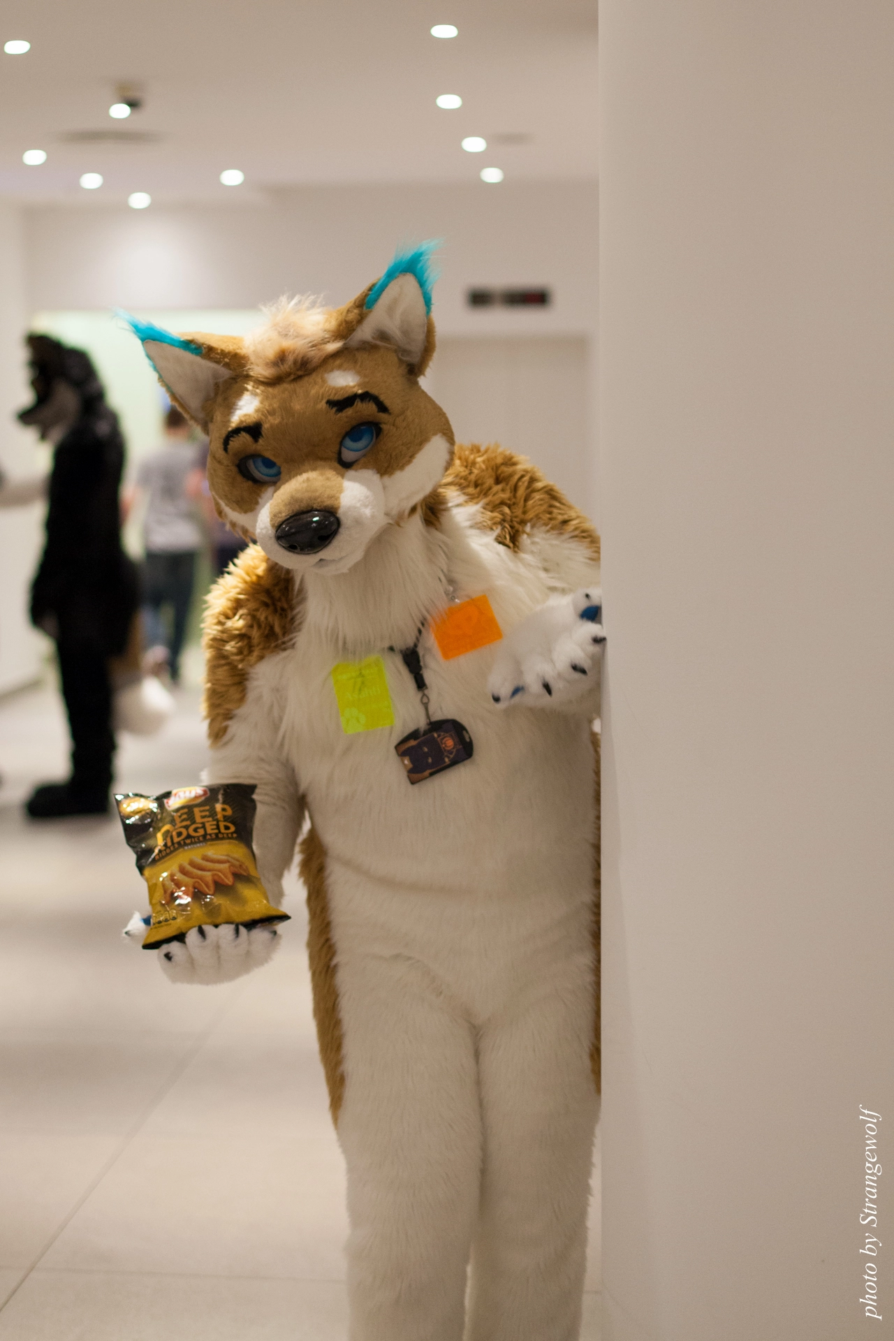 full image IMG_6311-lr19t.jpg