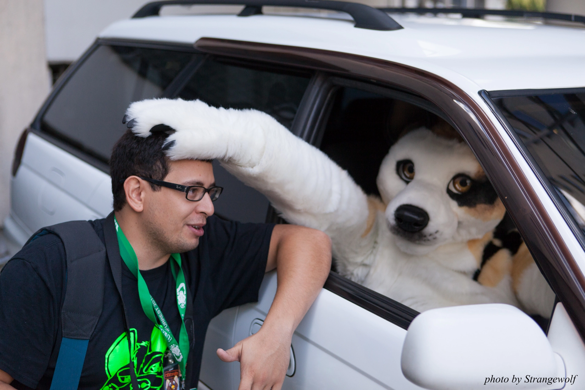 full image IMG_6833-lr19t.jpg