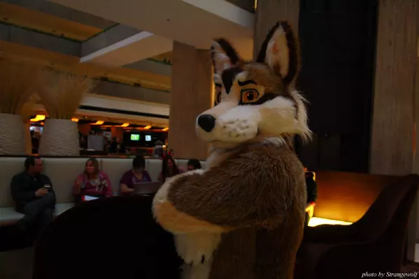 IMG_1079-lr.jpg of MFF/MFF2013/