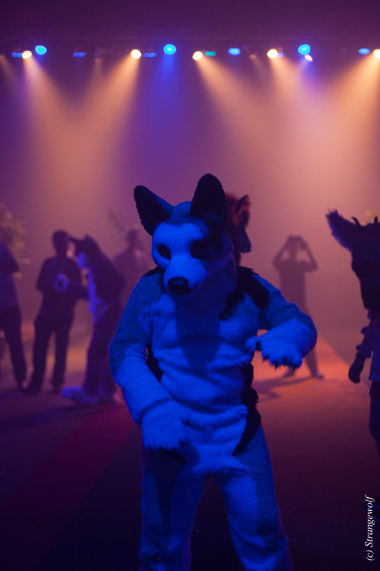 full image IMG_6394-lr19t.jpg