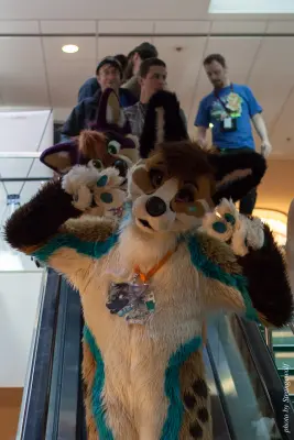 IMG_4129-lr16t.jpg of MFF/MFF2015/