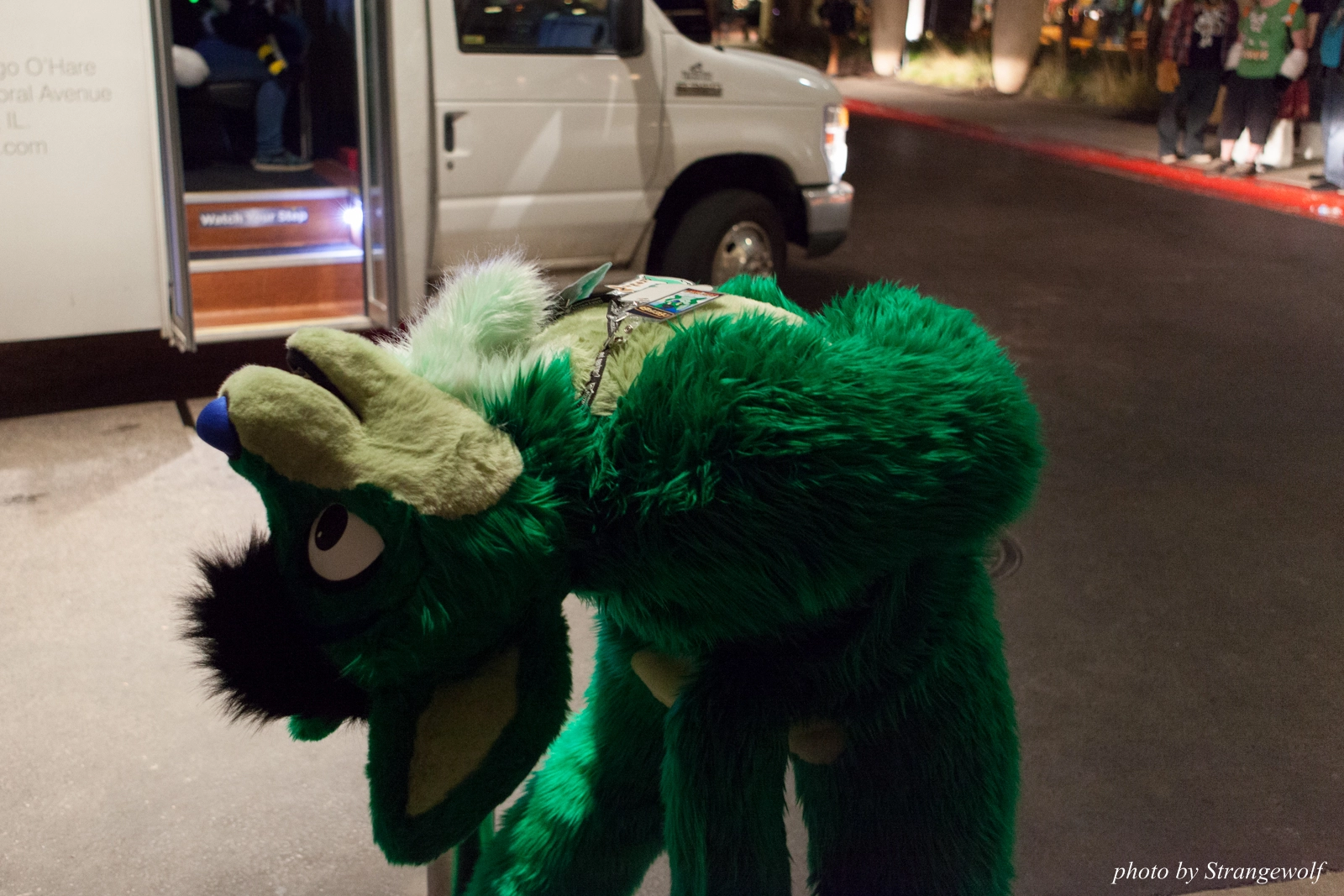 full image IMG_4331-lr16t.jpg
