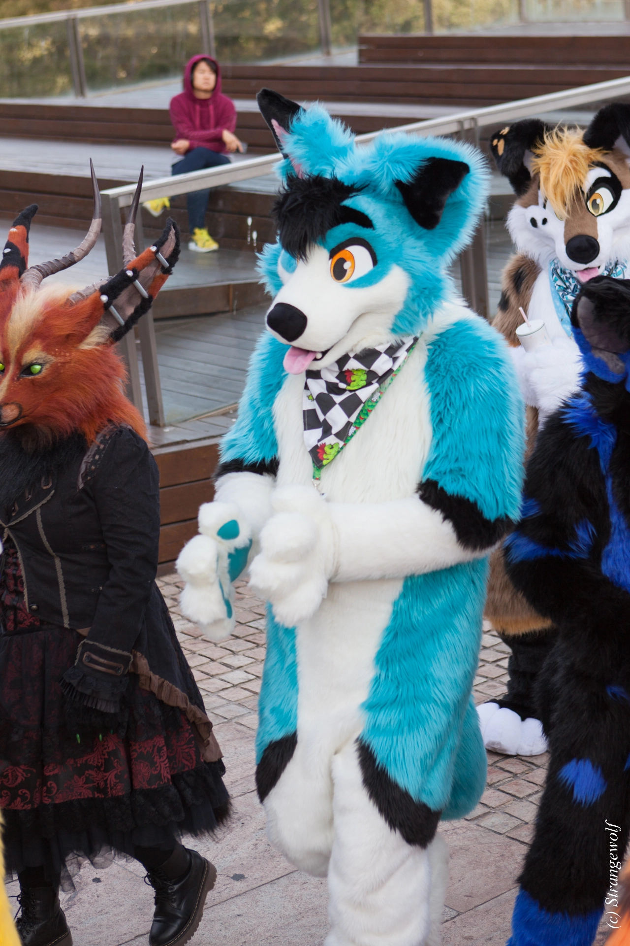 full image IMG_4613-lr19t.jpg