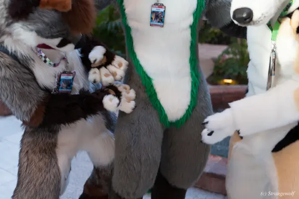 IMG_0193-lr19t.jpg of NFC/NFC2018/