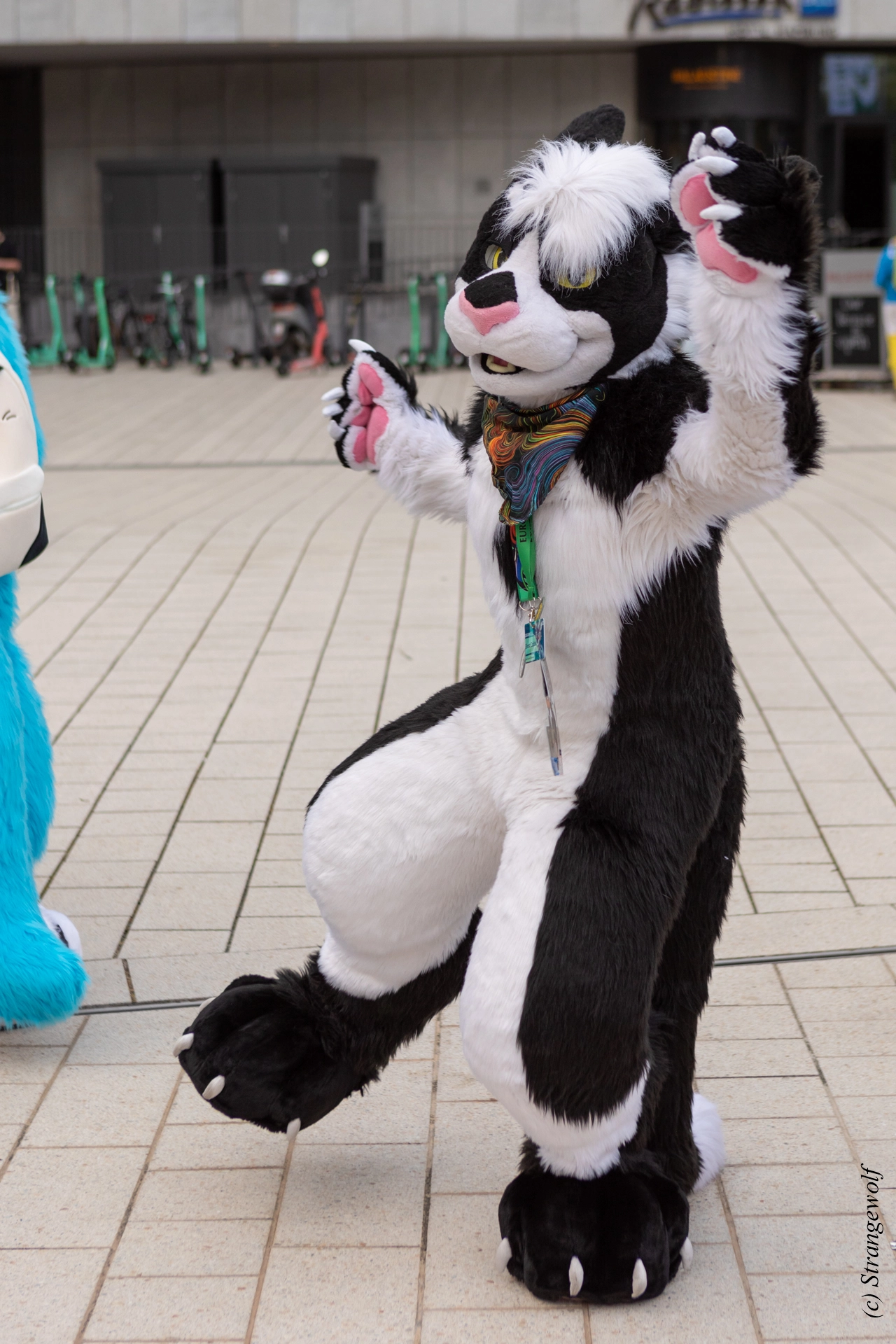 full image 1R3A9180-lr19t.jpg