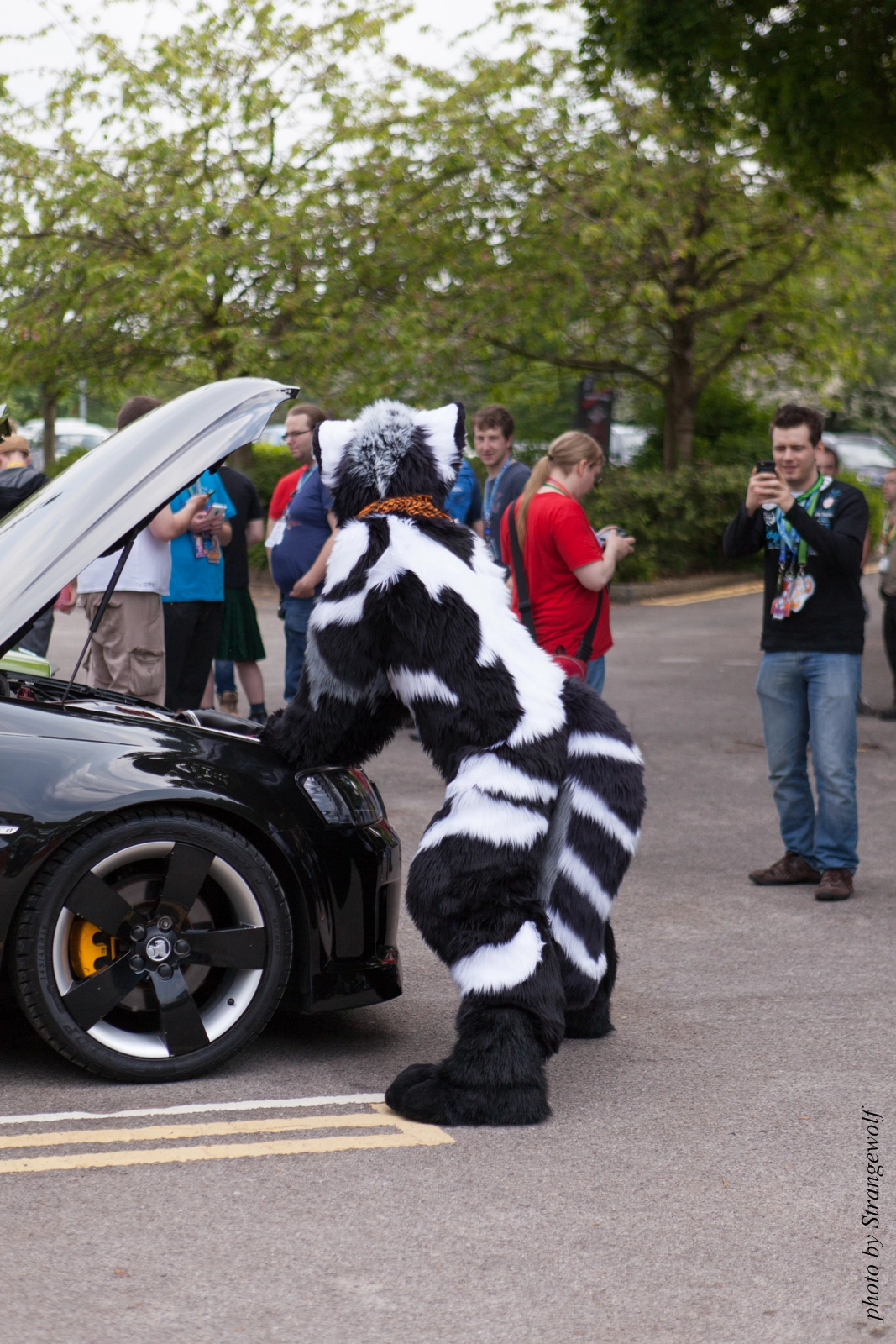 full image IMG_7203-lr16t.jpg