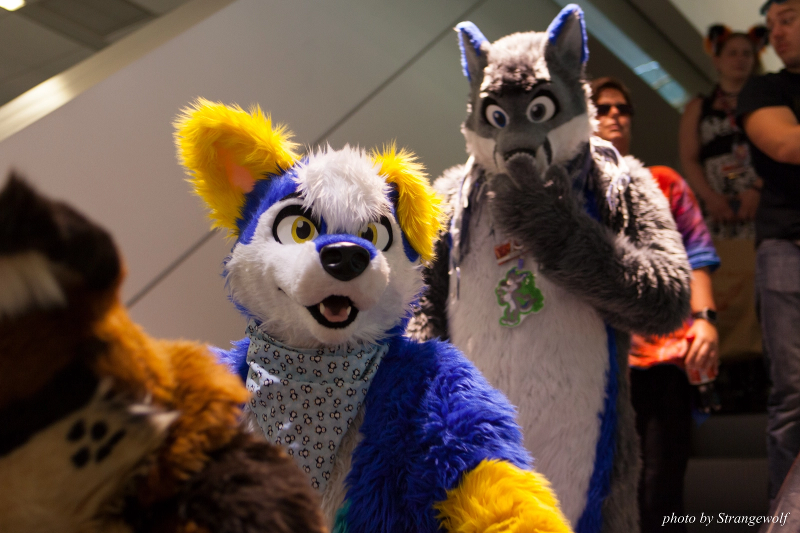 full image IMG_8256-lr16t.jpg