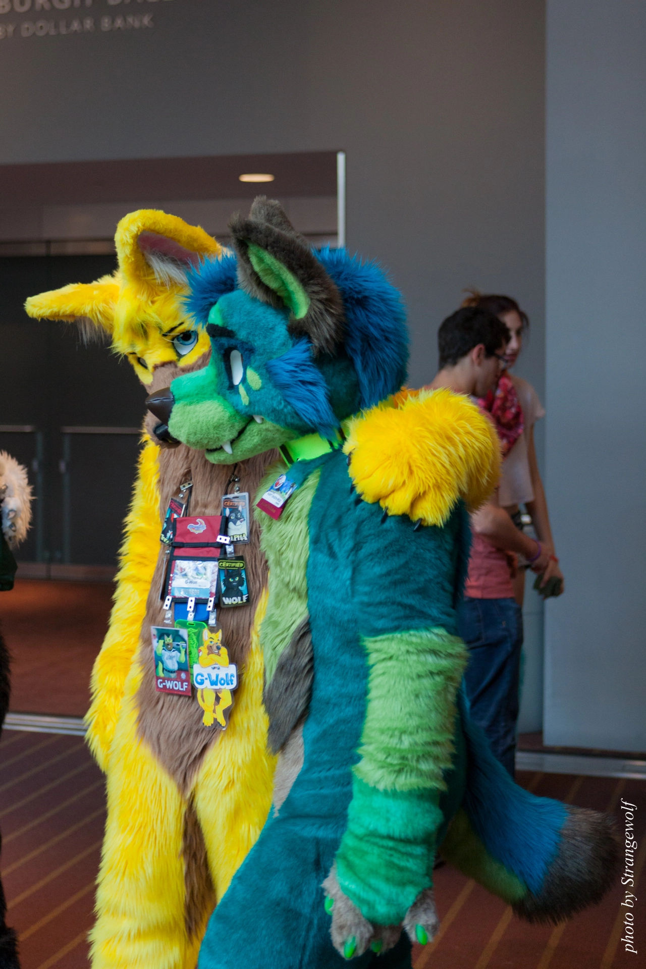full image IMG_5221-lr19t.jpg