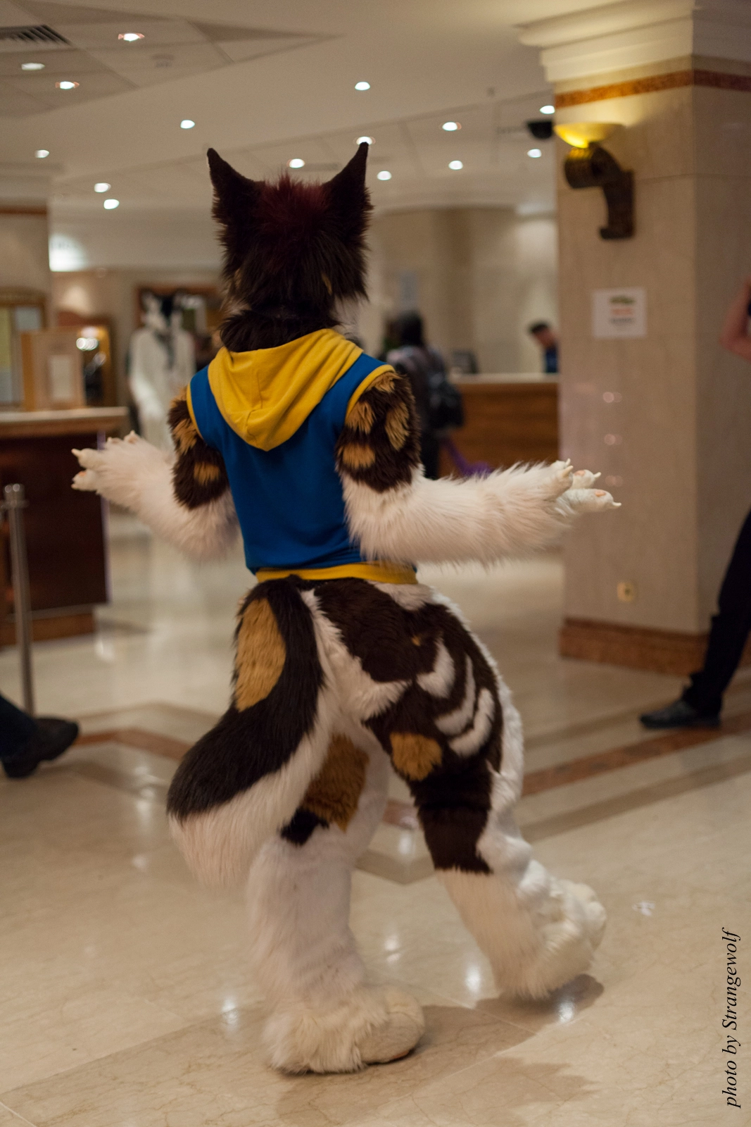 full image IMG_7625-lr16t.jpg