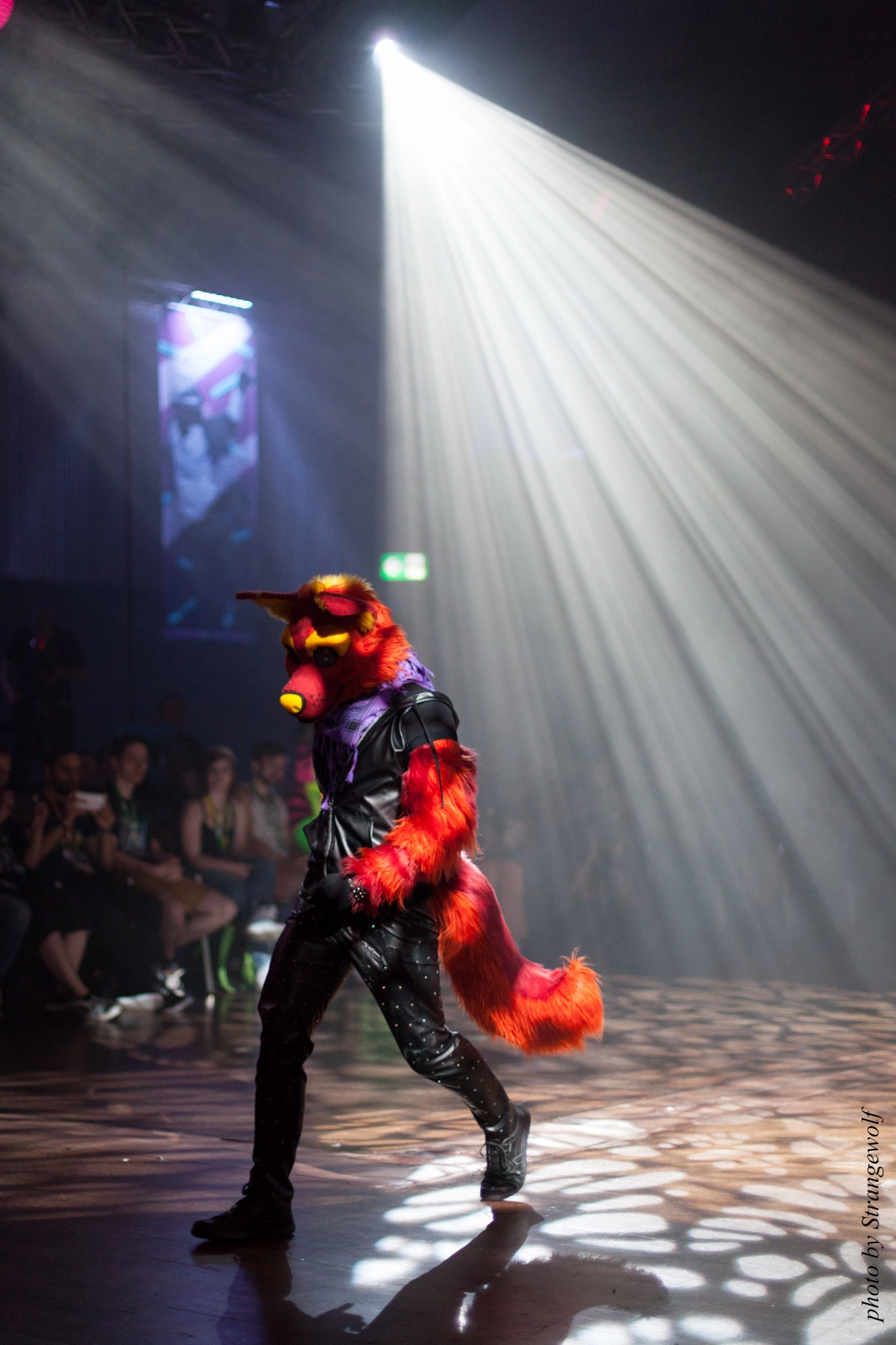 full image IMG_9194-lr16t.jpg