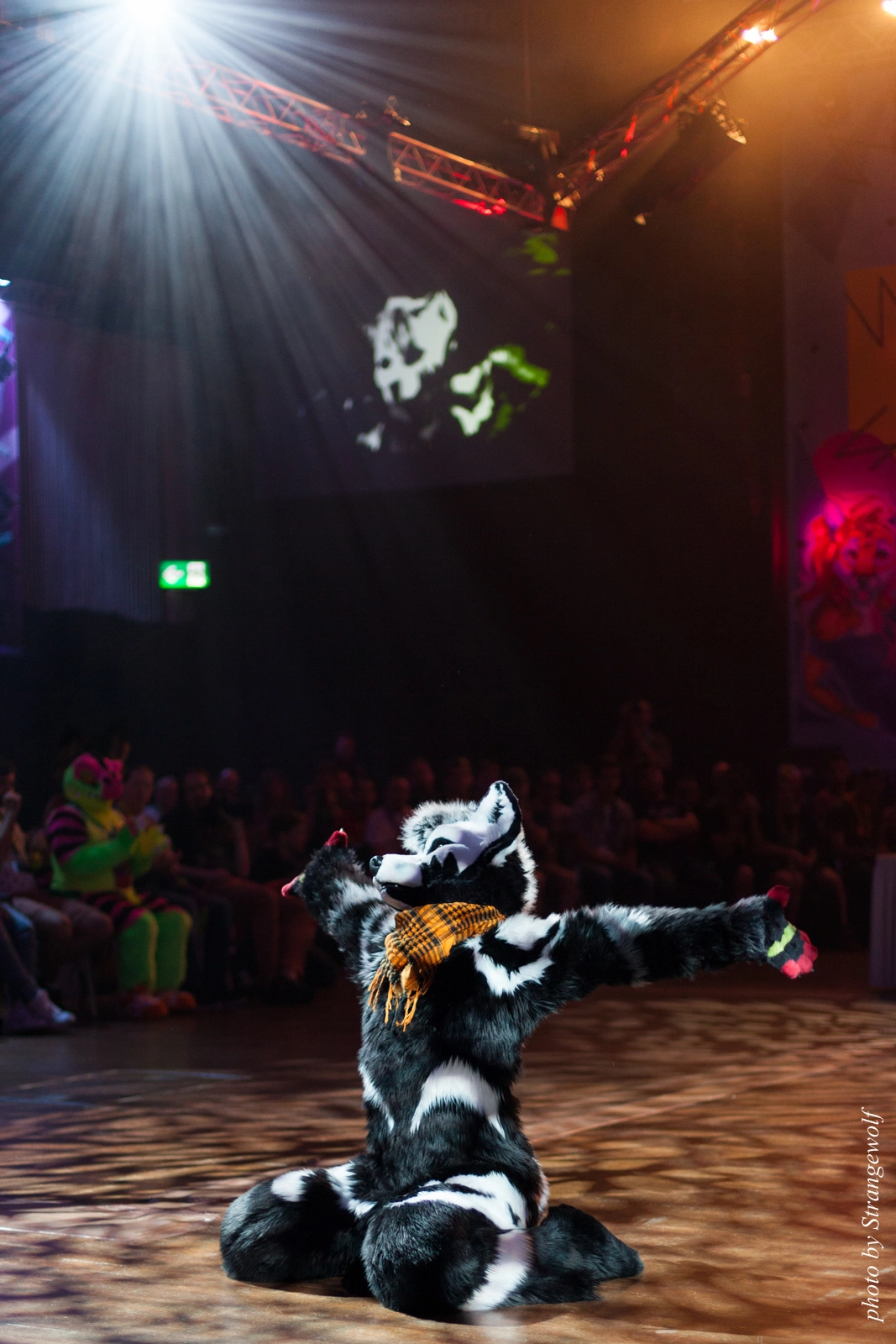 full image IMG_9806-lr16t.jpg