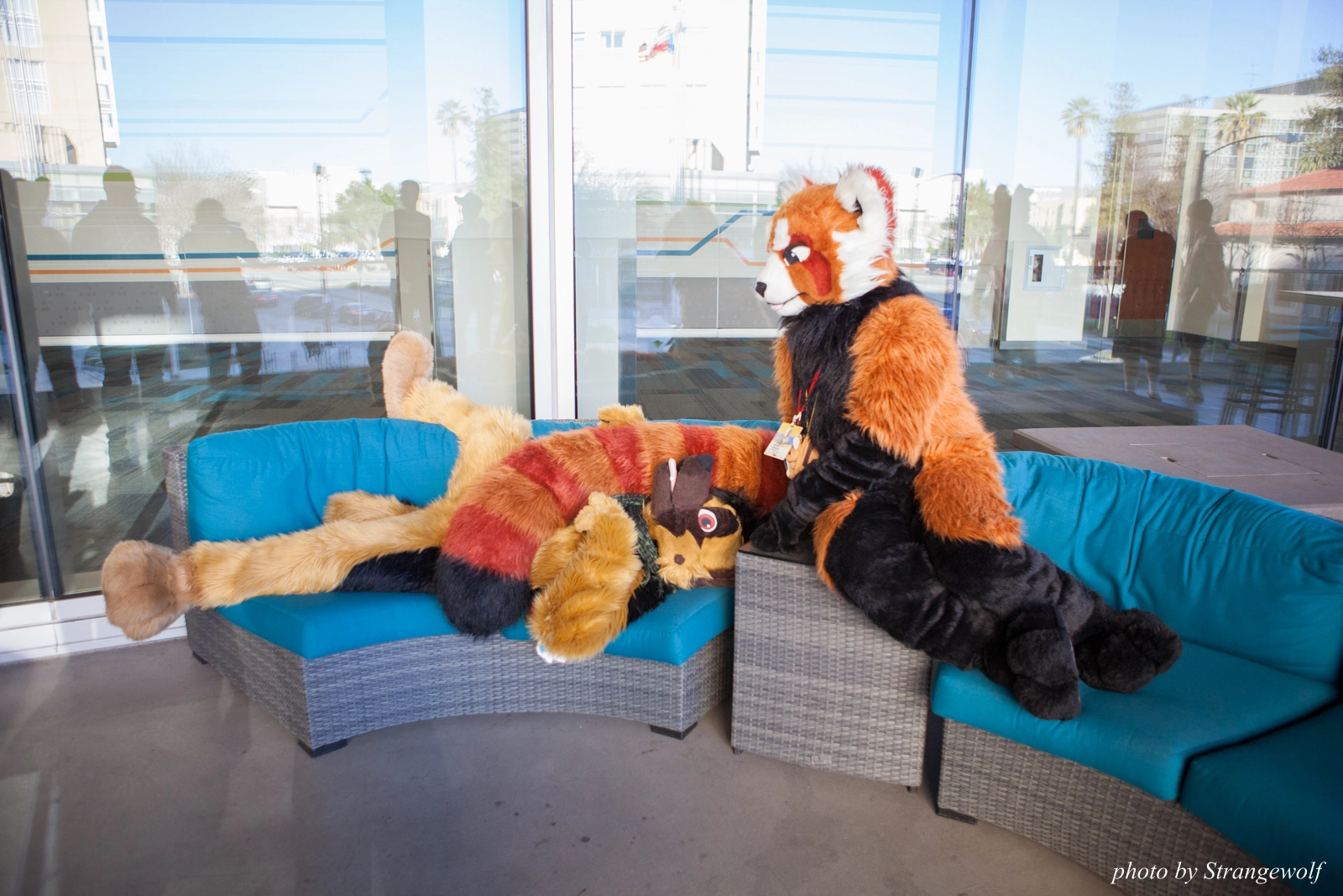 full image IMG_1022-lr16t.jpg