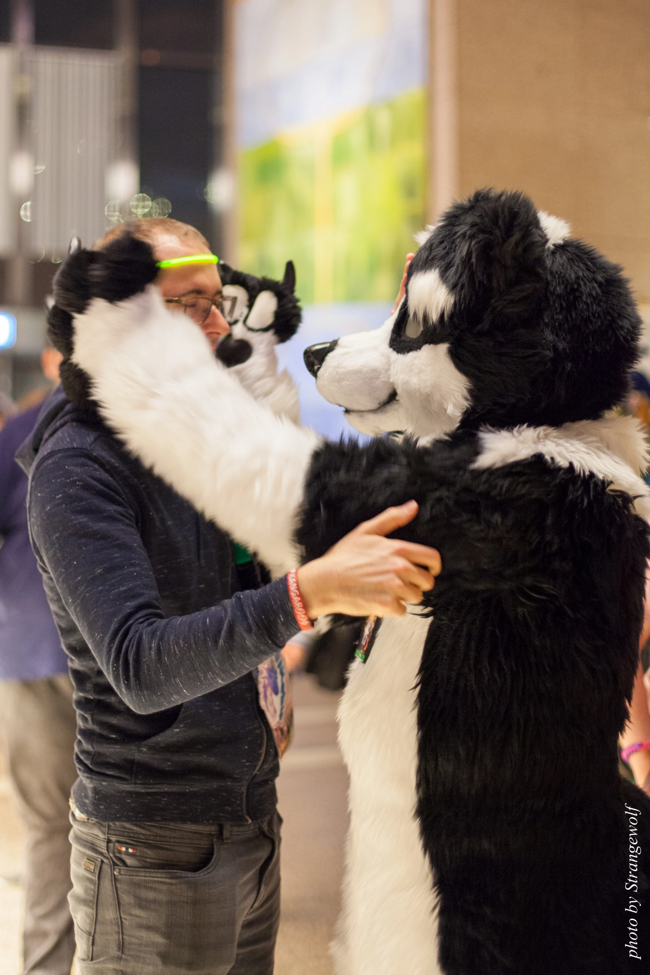 full image IMG_9343-lr19t.jpg