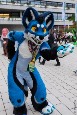 1R3A9071-lr19t.jpg of EF/EF29/