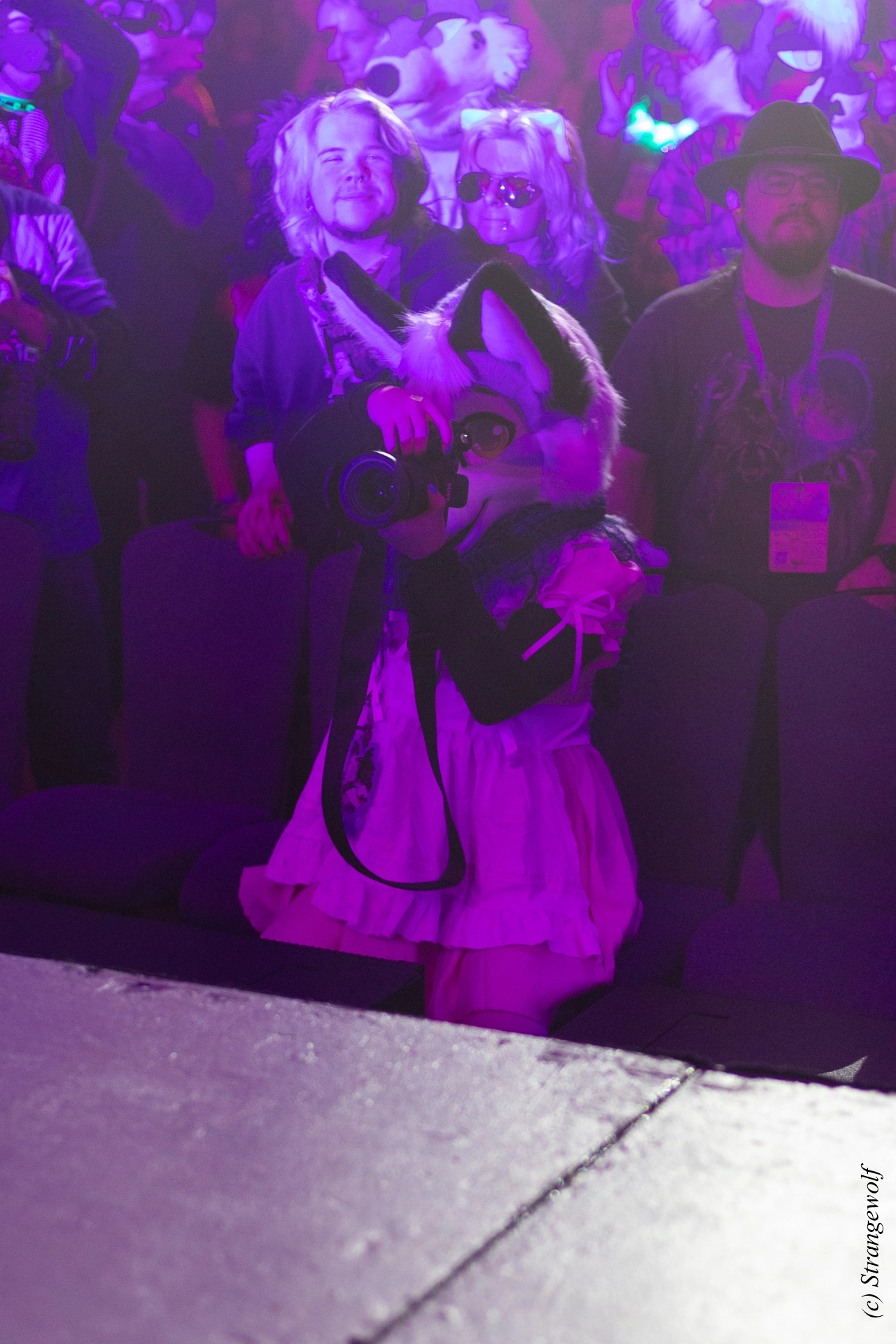 full image 1R3A0761-lr19t.jpg