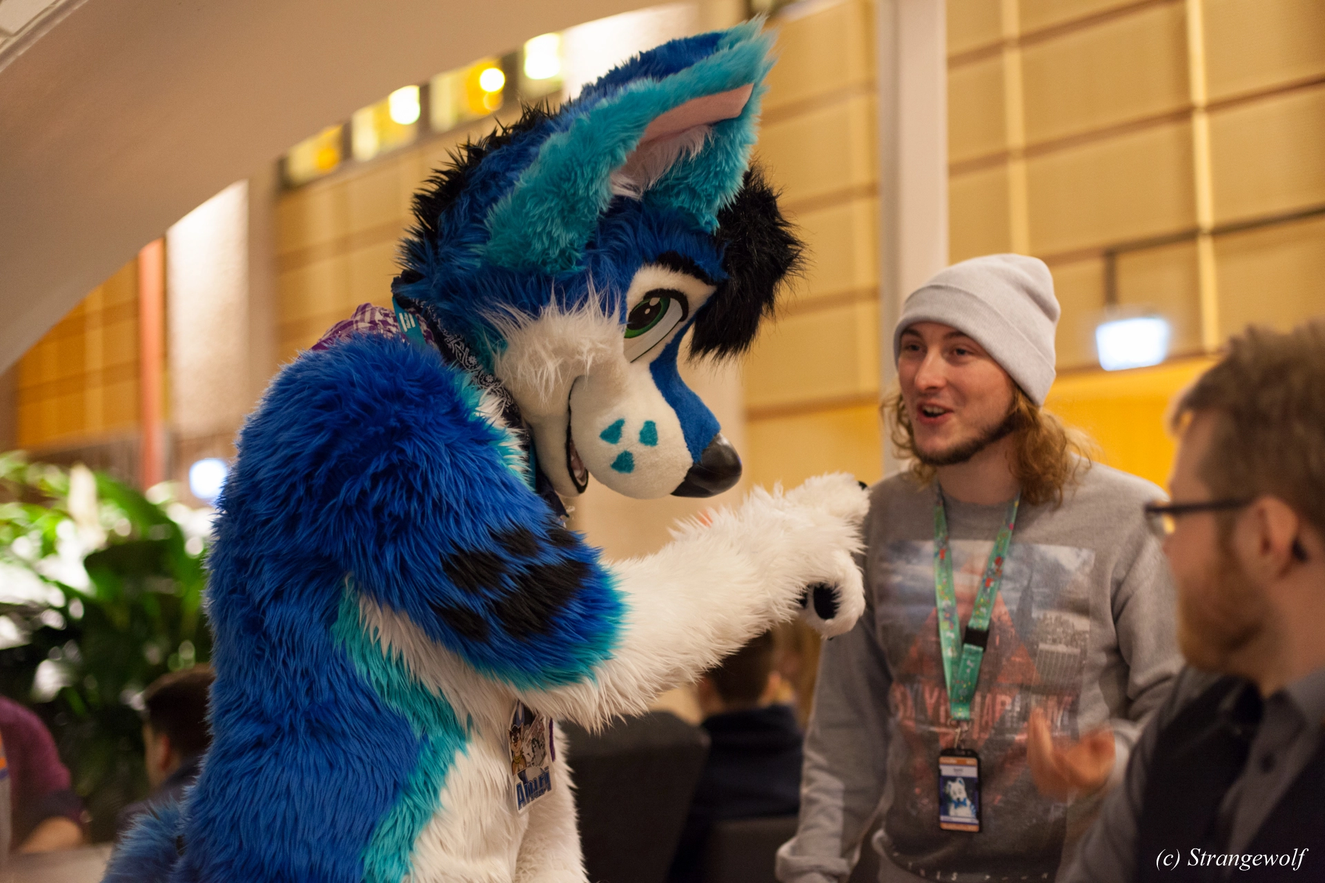 full image IMG_9640-lr19t.jpg