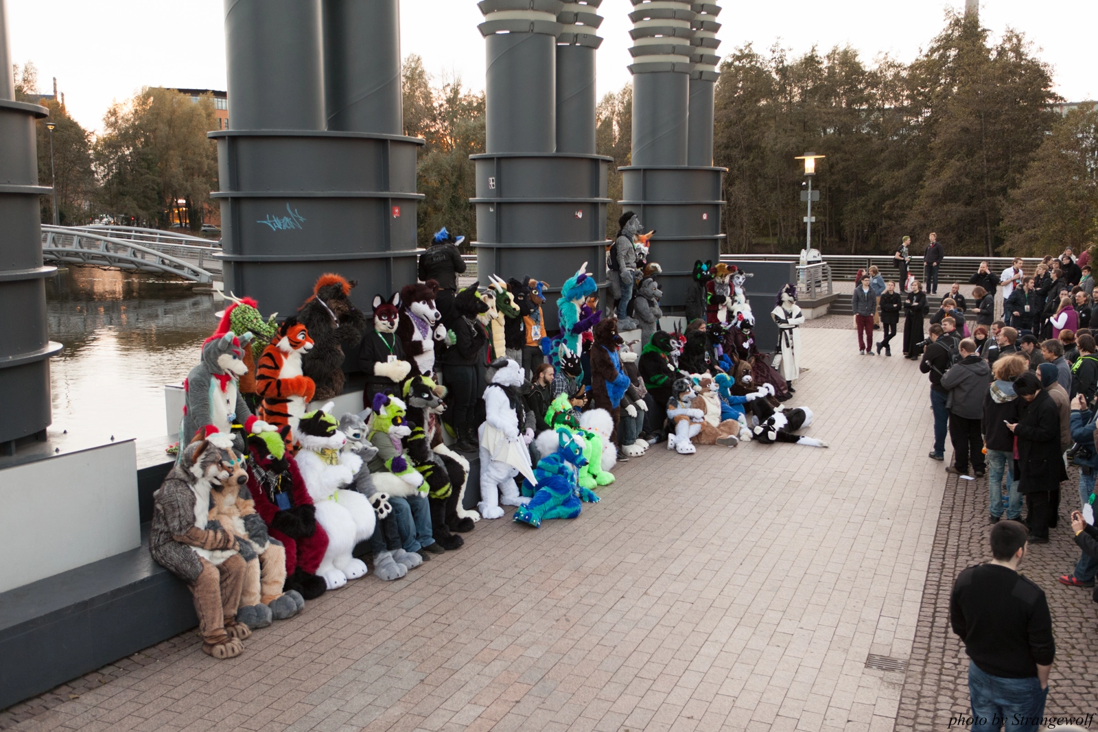 full image IMG_5377-lr16t.jpg