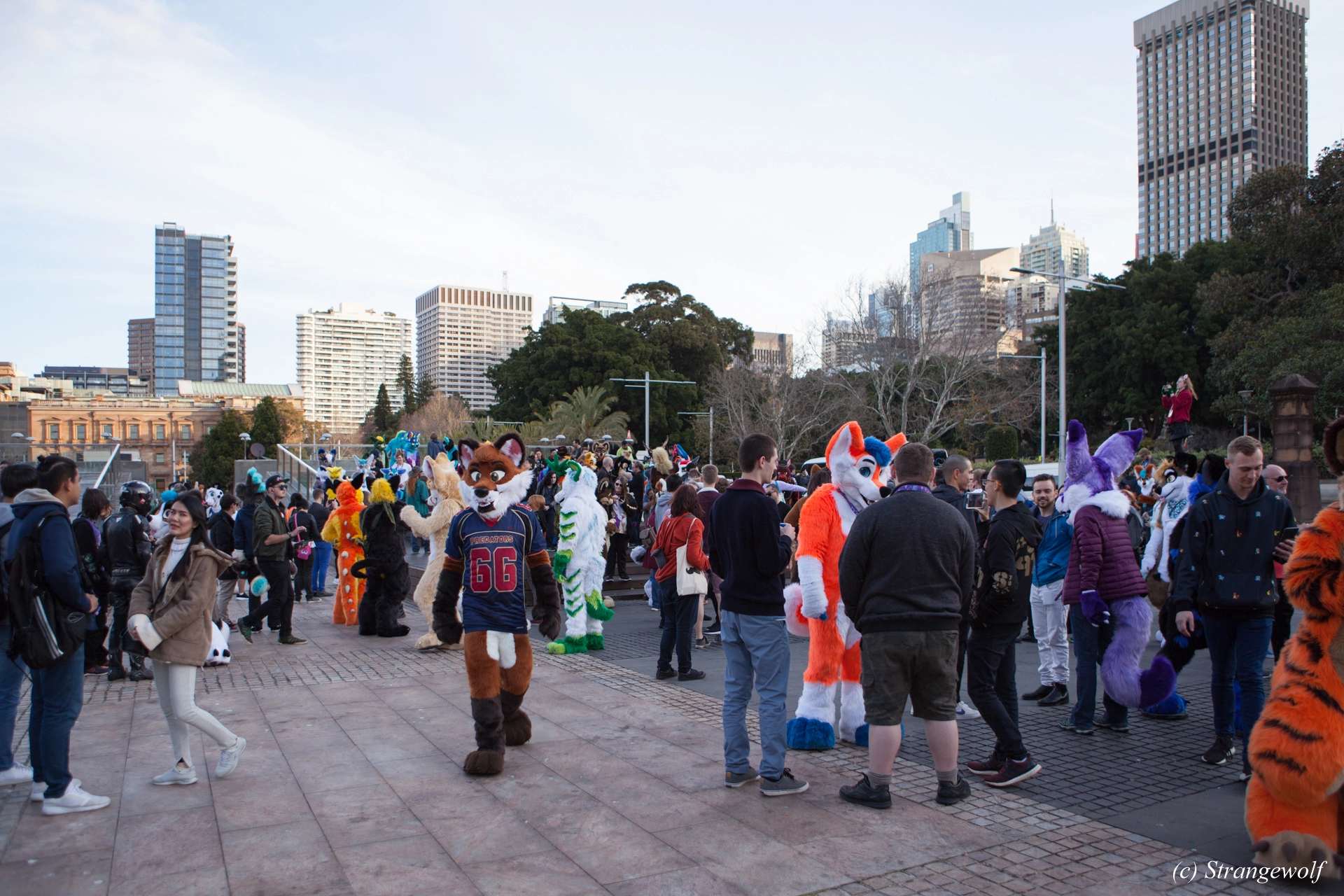 full image IMG_4639-lr19t.jpg