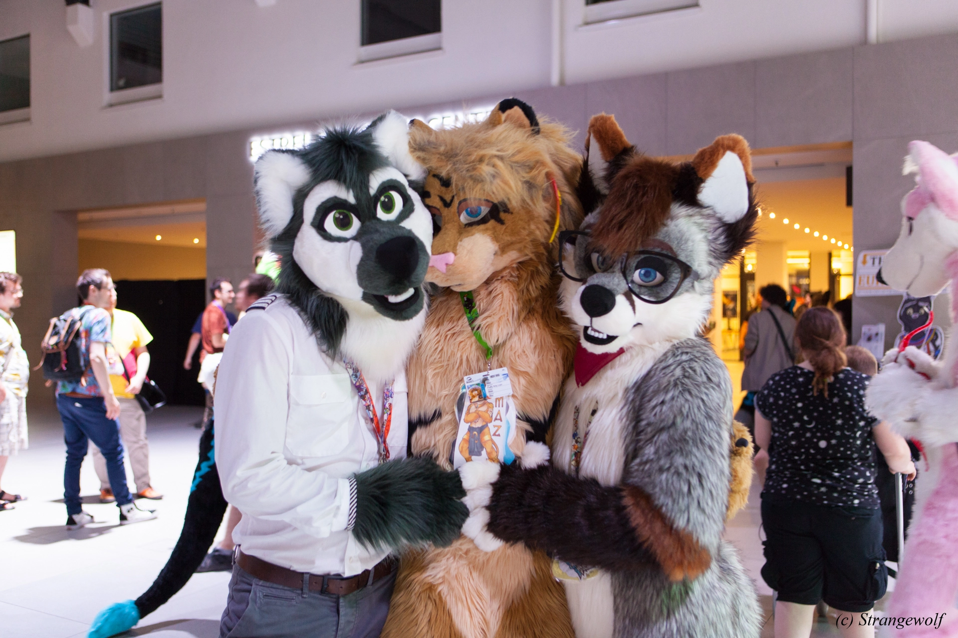 full image IMG_4854-lr19t.jpg