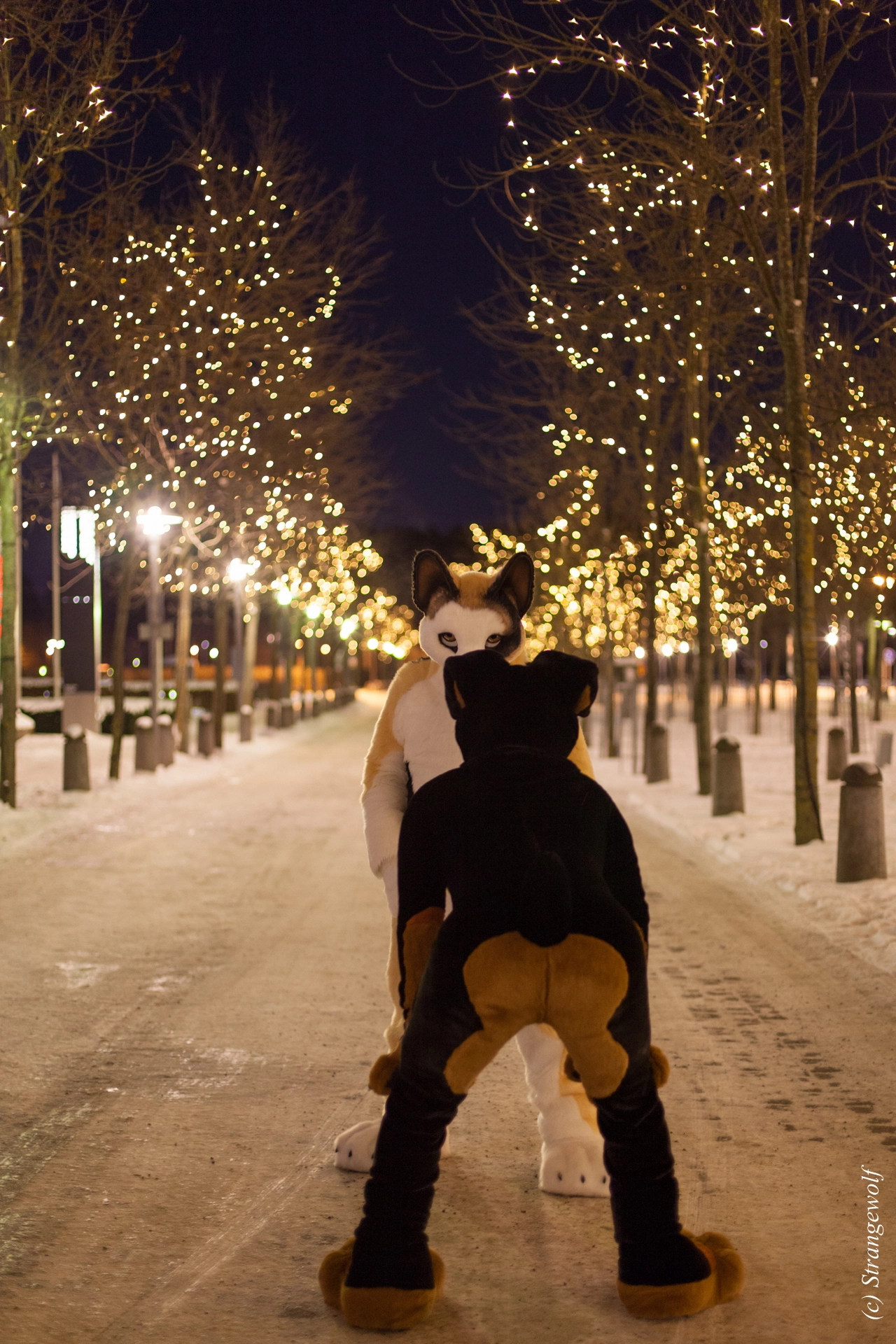 full image IMG_9274-lr19t.jpg