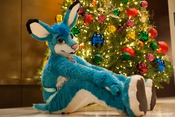 IMG_1866-lr19t.jpg of MFF/MFF2021/