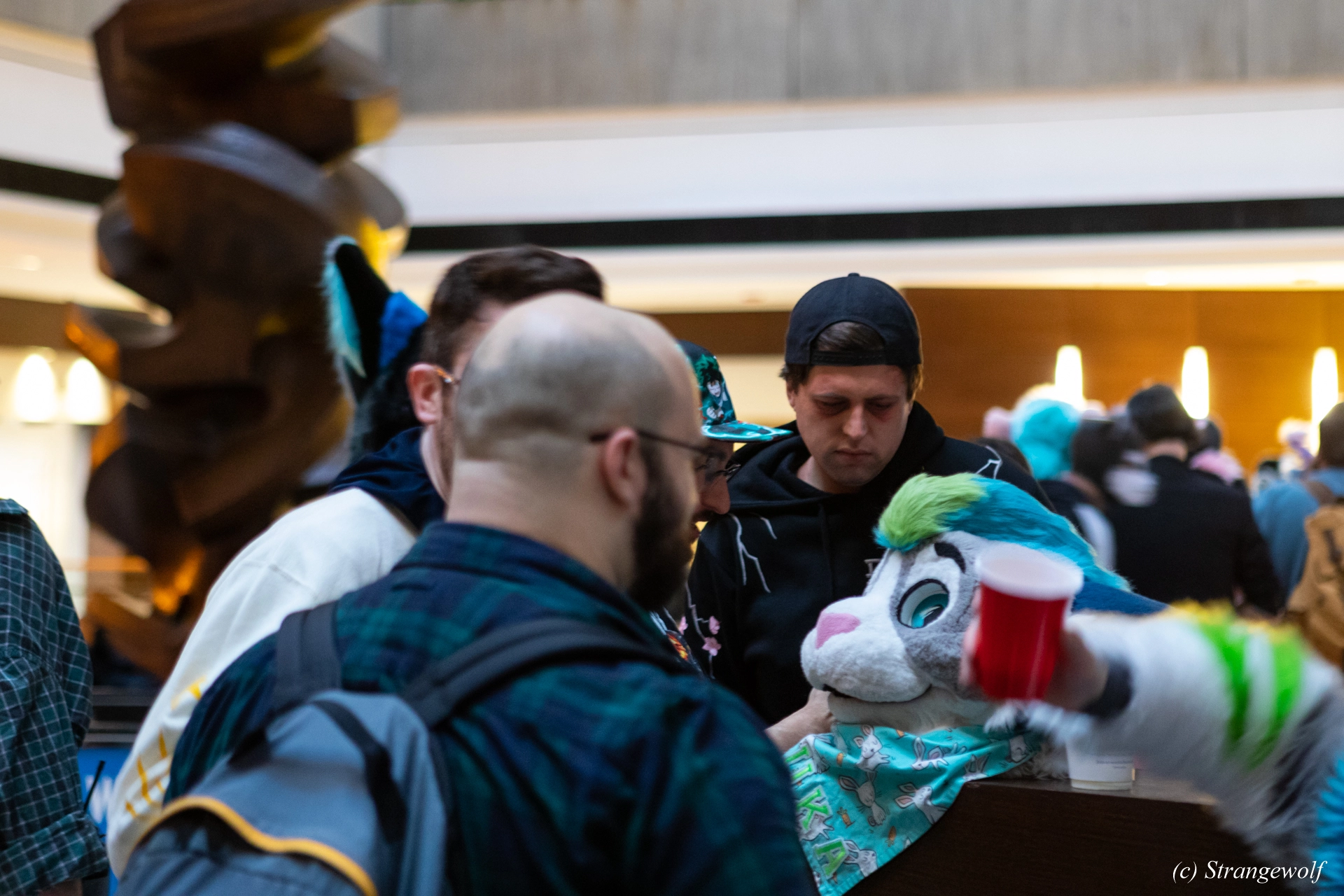 full image 1R3A0221-lr19t.jpg