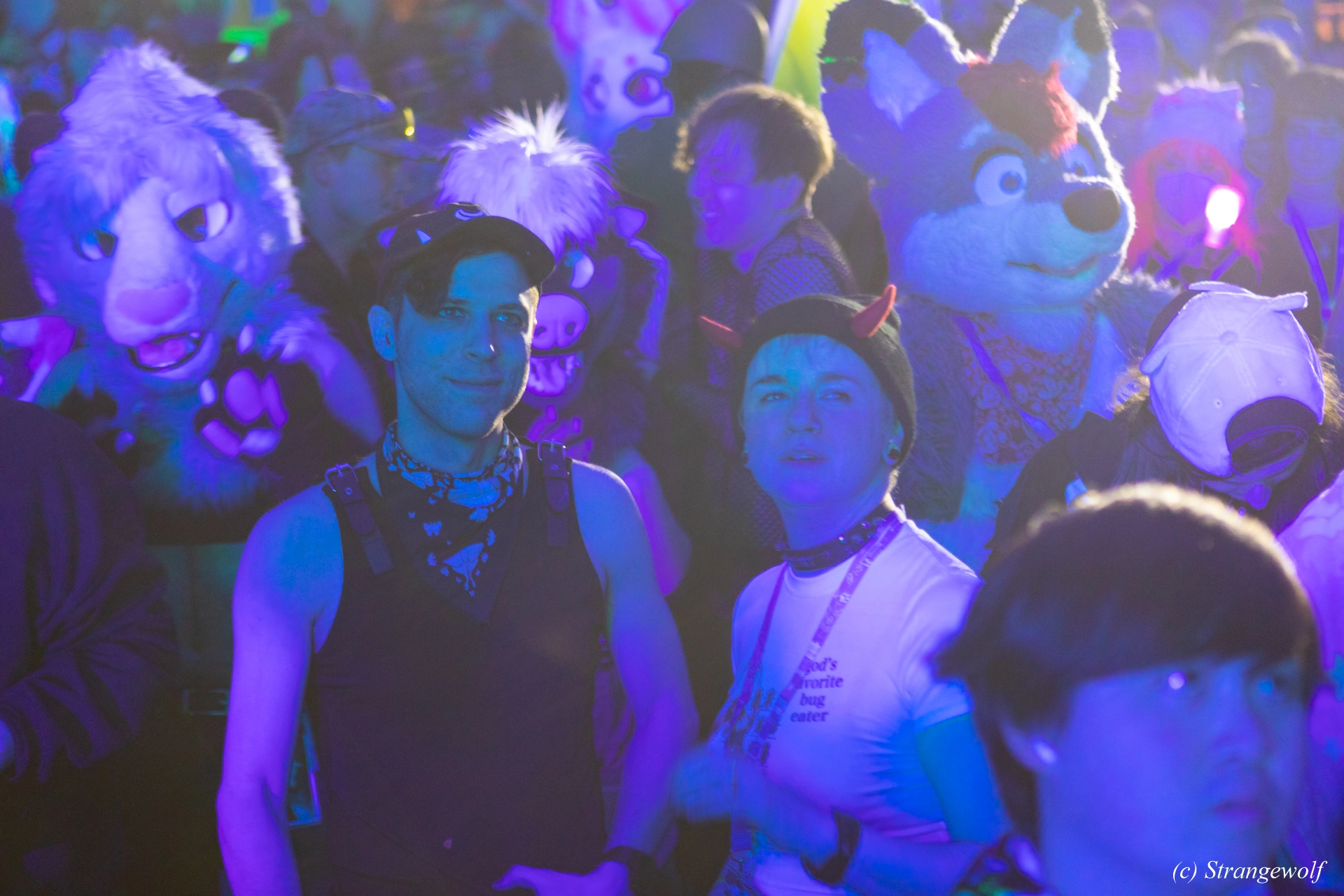 full image 1R3A5066-lr19t.jpg