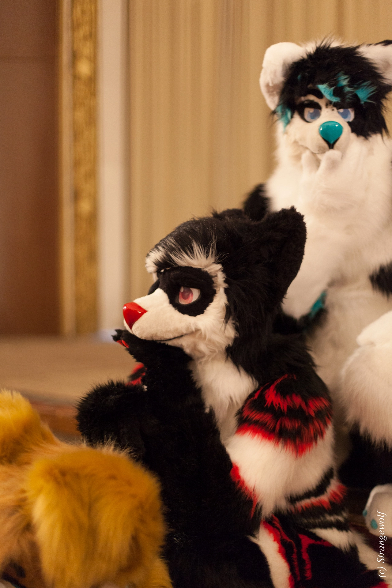 full image IMG_5860-lr19t.jpg