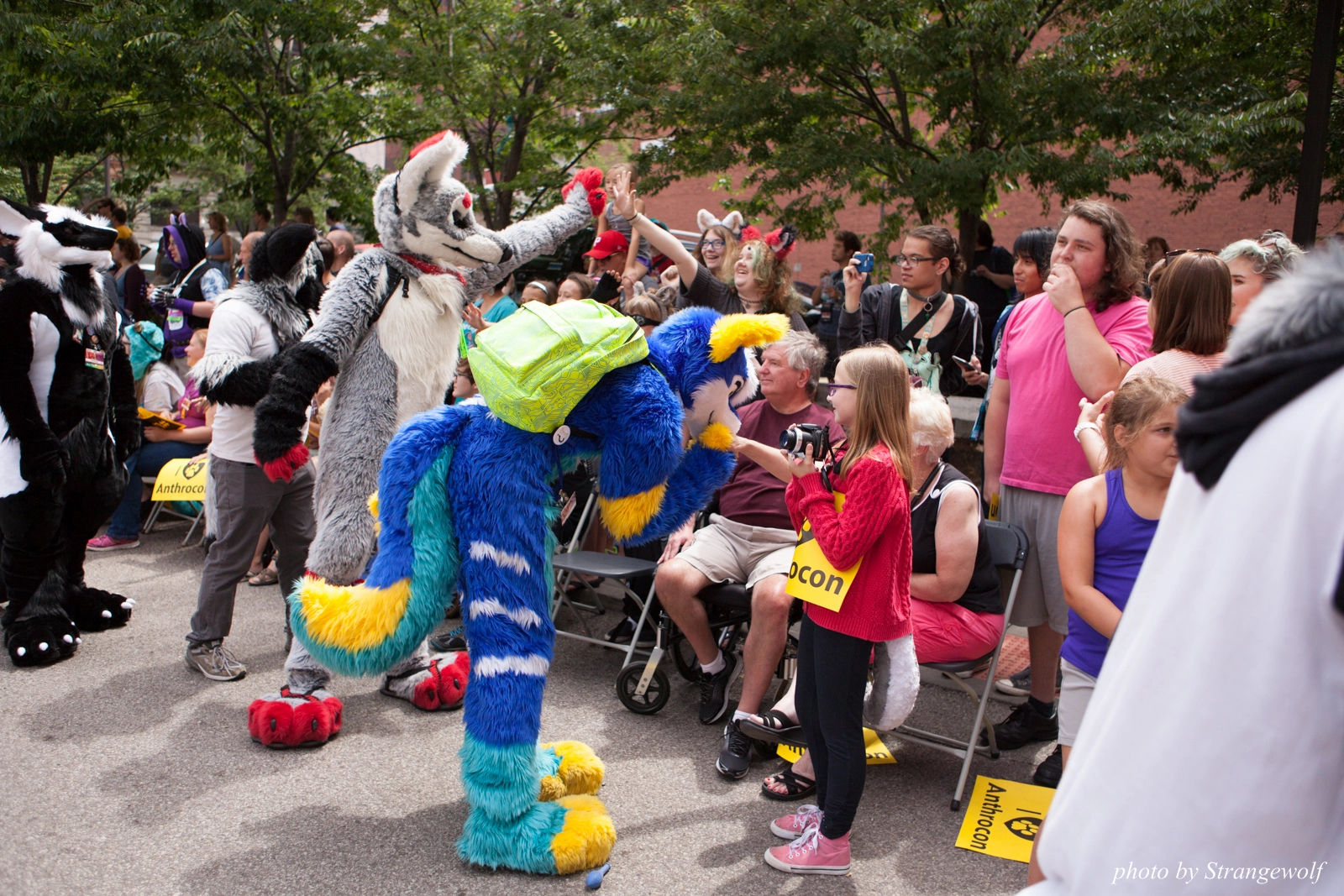 full image IMG_8071-lr16t.jpg