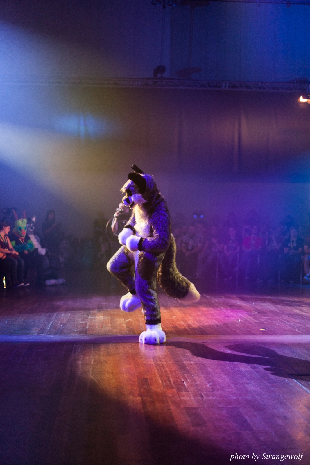 full image IMG_2945-lr16t.jpg