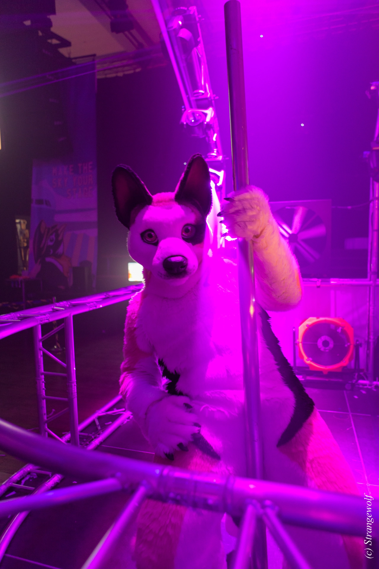 full image IMG_5045-lr19t.jpg