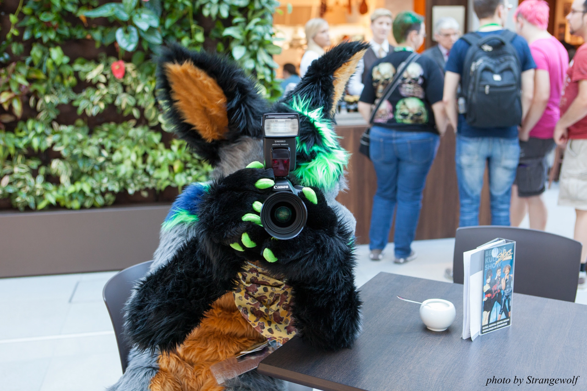 full image IMG_6989-lr19t.jpg