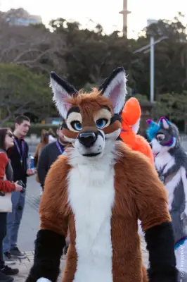 IMG_4649-lr19t.jpg of HCFC/HCFC2019/