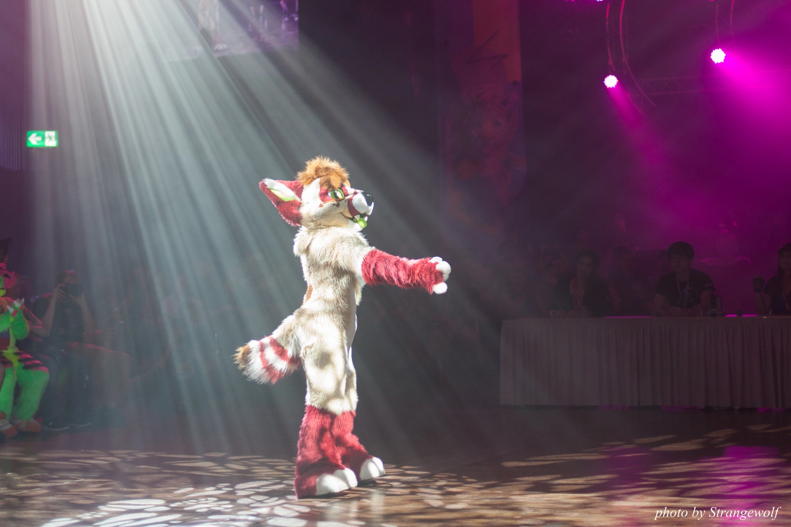 full image IMG_9075-lr16t.jpg