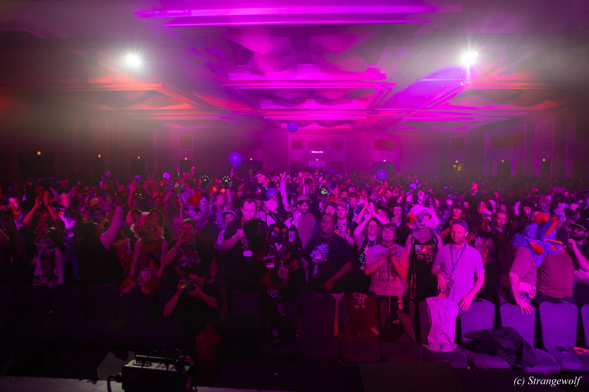 full image 1R3A0908-lr19t.jpg