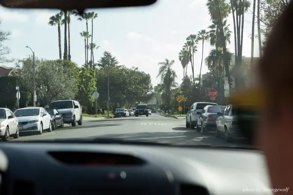 IMG_0989-lr16t.jpg of FC/FC2017/