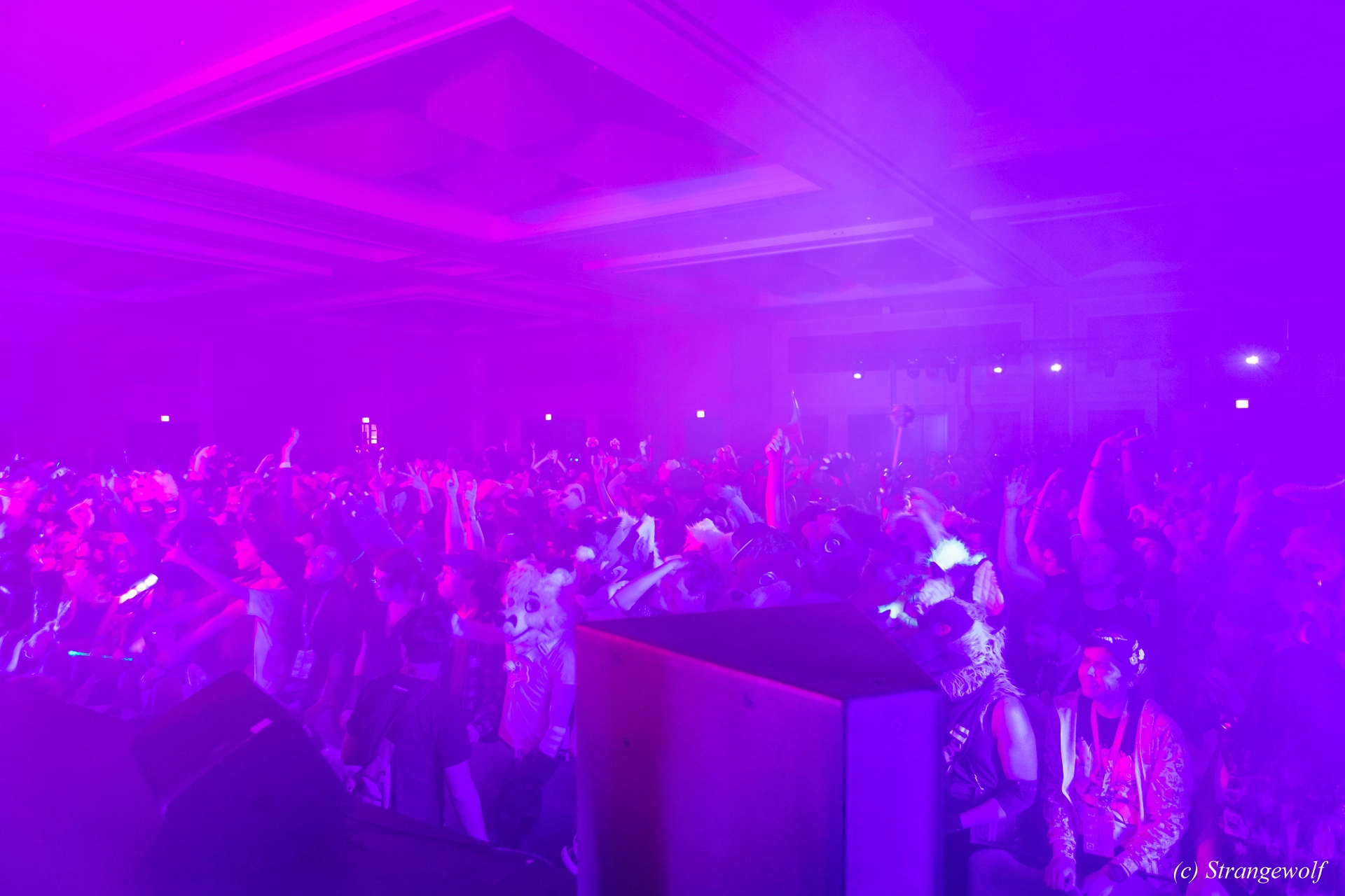 full image 1R3A6714-lr19t.jpg