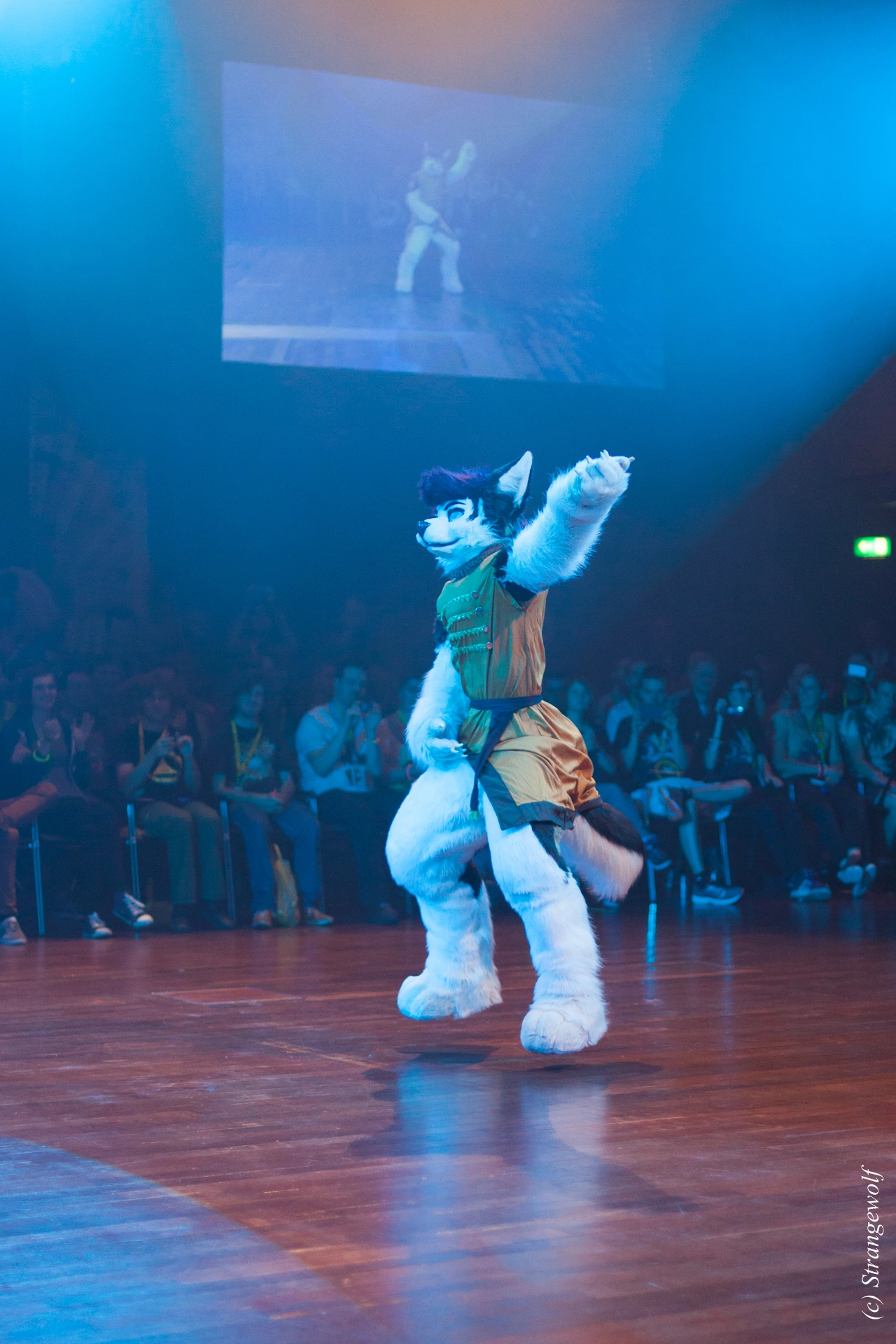 full image IMG_6477-lr19t.jpg