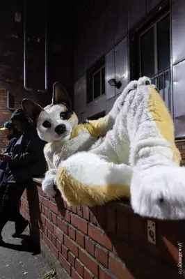 1R3A2605-lr19t.jpg of Furstrike/Furstrike 2022/