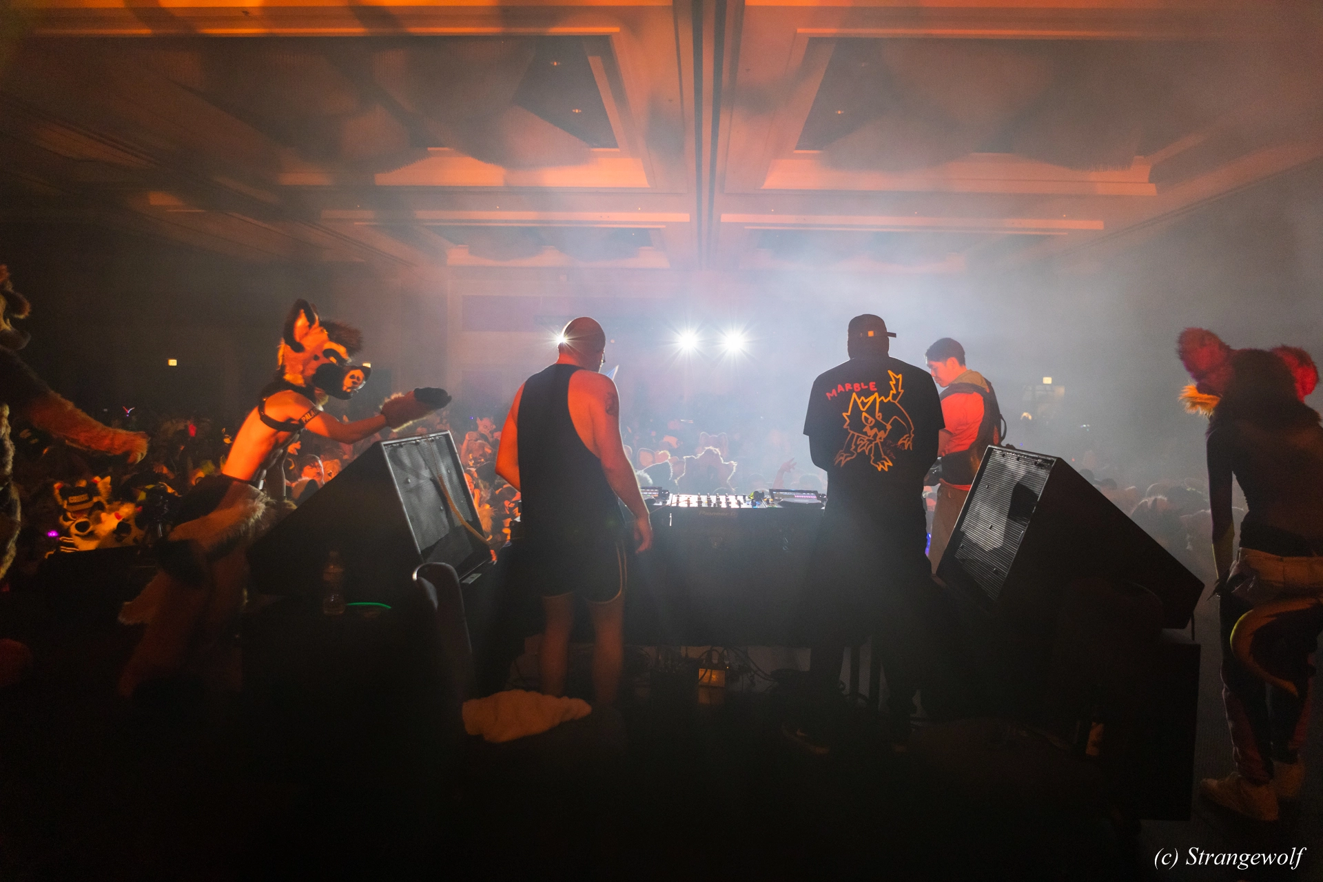 full image 1R3A7028-lr19t.jpg