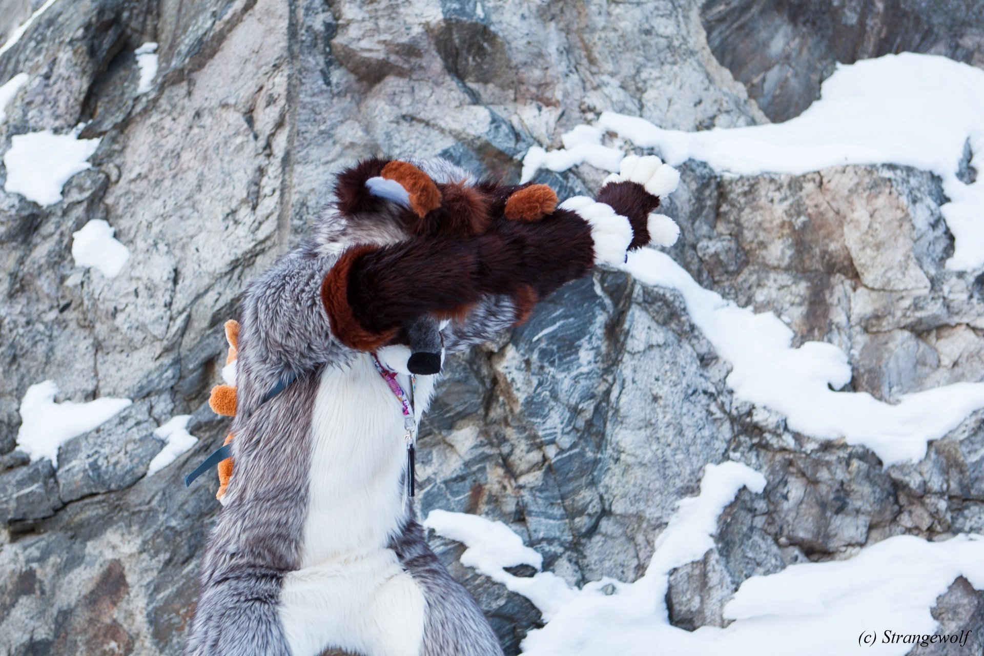 full image IMG_0670-lr19t.jpg