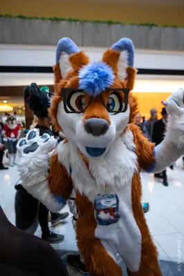 1R3A0223-lr19t.jpg of MFF/MFF2025/