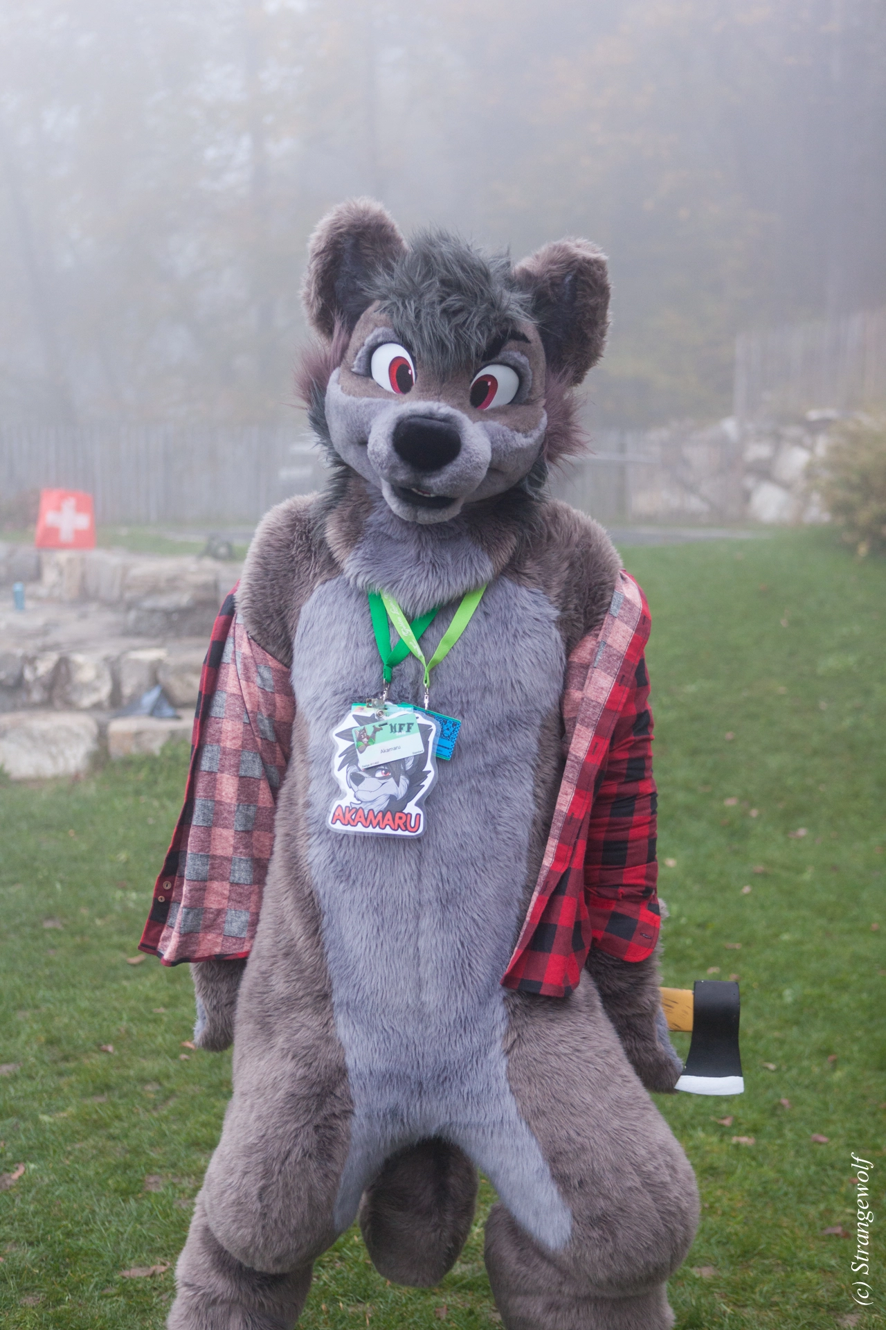 full image IMG_7034-lr19t.jpg