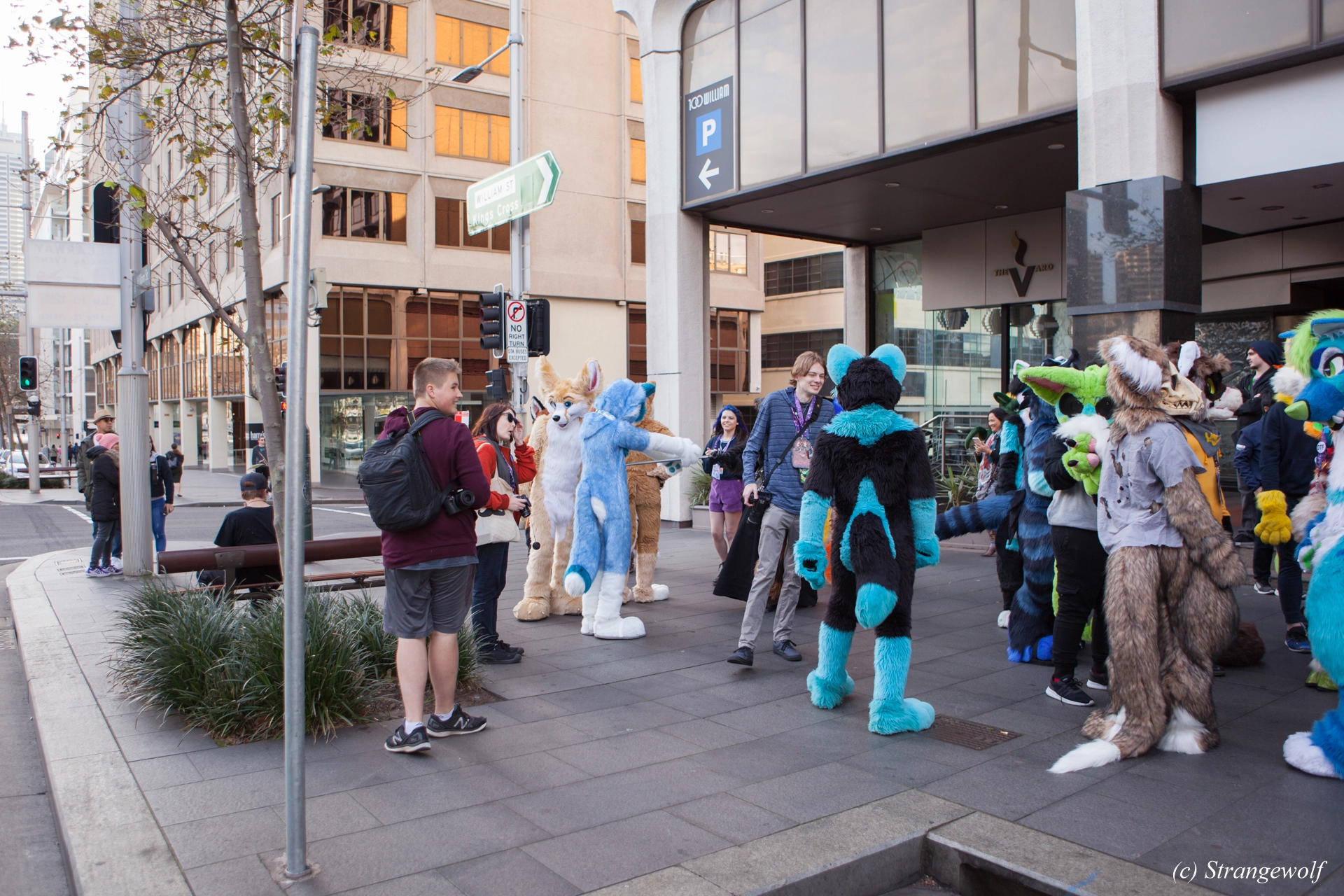 full image IMG_4570-lr19t.jpg