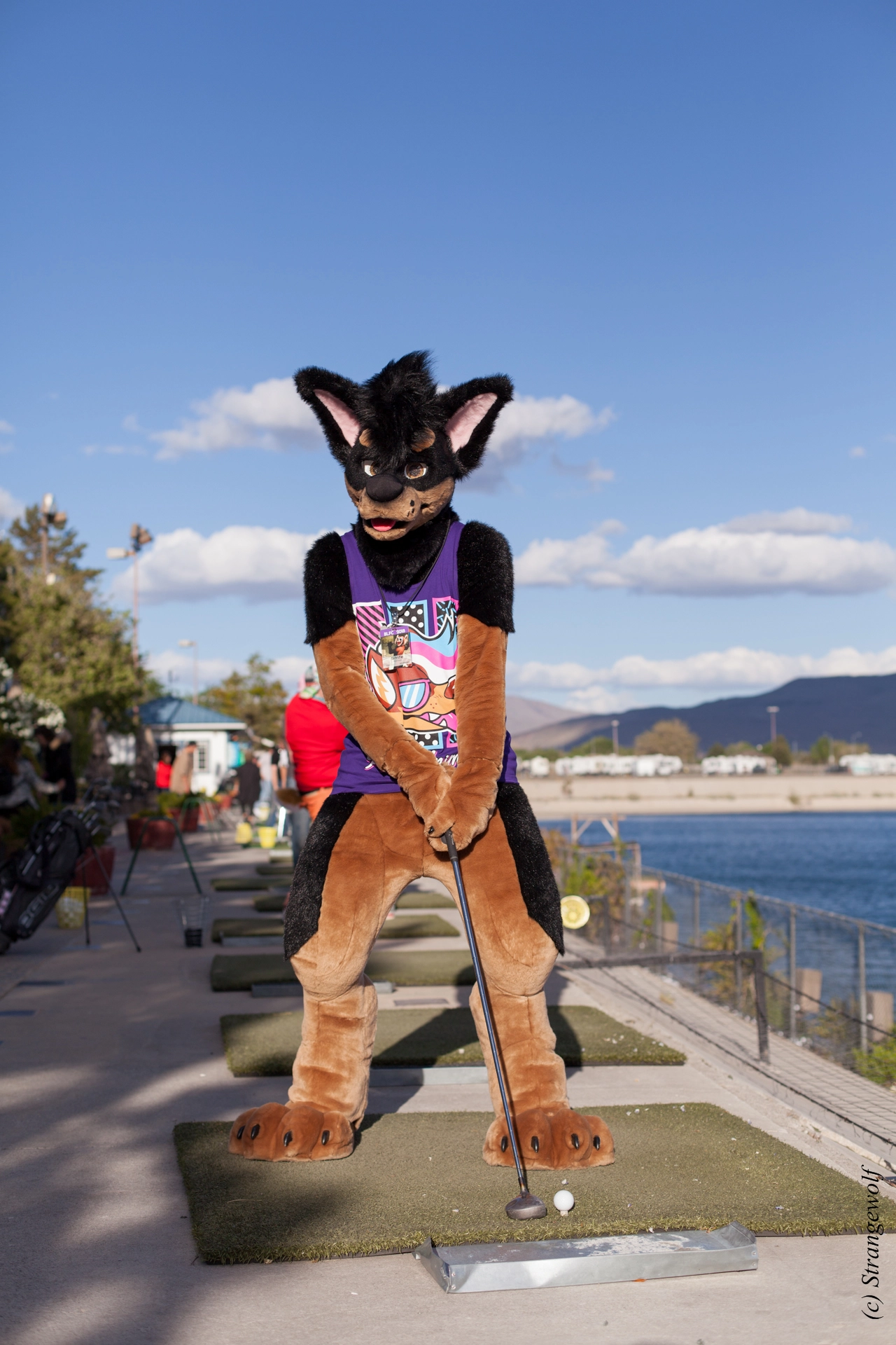full image IMG_2486-lr19t.jpg