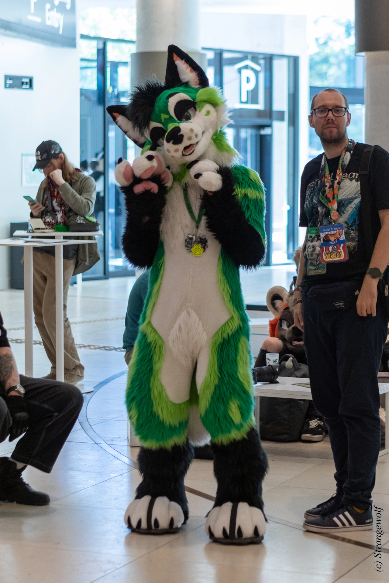 full image 1R3A9233-lr19t.jpg