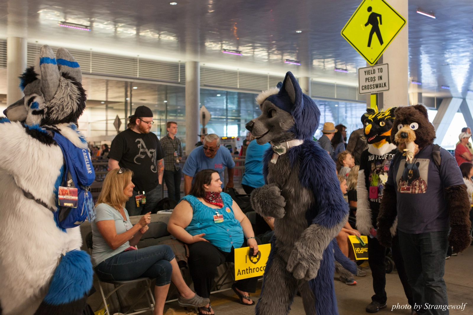 full image IMG_8027-lr16t.jpg