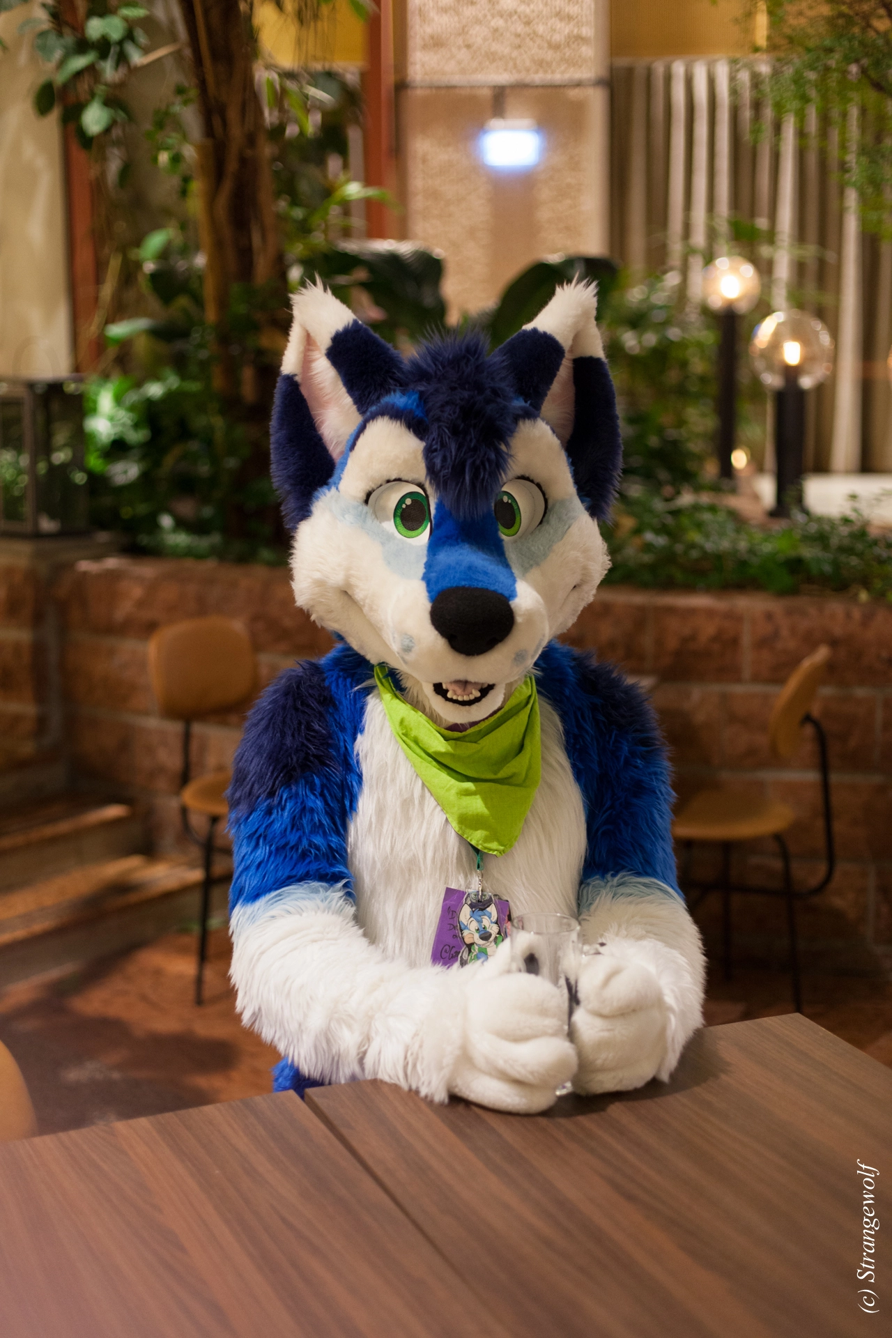 full image IMG_9002-lr19t.jpg